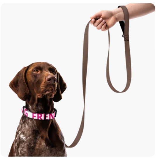 Pink Frenchie Gang Pet collar